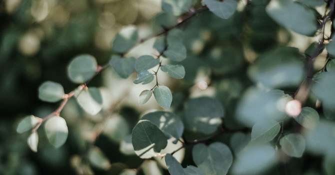EMDR